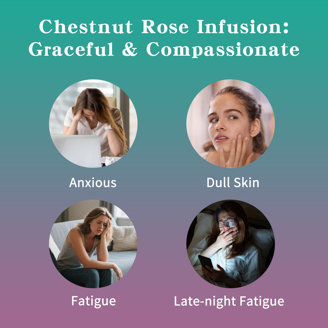Leafberry Chestnut Rose Infusion - Leafberry